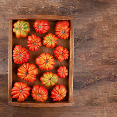 Obraz na płótnie Canvas Ribbed tomatoes in a wooden tray top view. Copy space. Summer harvest tomato