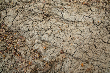 Rock texture, natural background