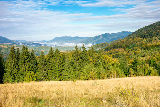 beautiful morning landscape in mountain. forest on the hills. stunning autumn scenery of carpathians with gorgeous cloudscape and fog in the distant valley