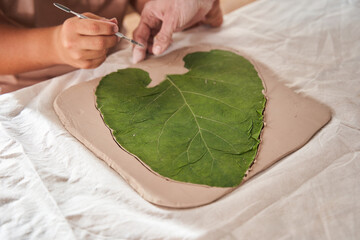 Boy preparing for impression texture of leaf at the clay and presenter checking it