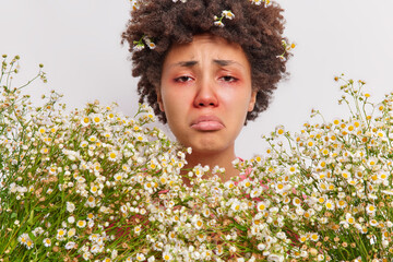 Close up shot of frustrated curly haired Afro American woman surrounded by camomile flowers has red...