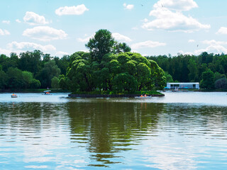 small green island on the pond in the summer park