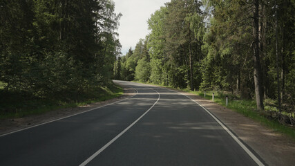 Fototapeta na wymiar driving plate through forest in sunny summer day