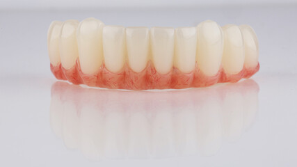 Dental Lower Jaw Prosthetic With Pink Gum on a white background with reflection
