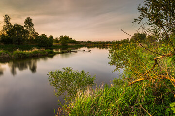 Fototapeta na wymiar Sunset over Warta river in Warta Landscape Park, Poland.