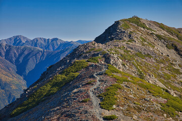 mt.warusawa, mt.akaishi, in autumn, trekking 秋の悪沢岳、赤石岳トレッキング