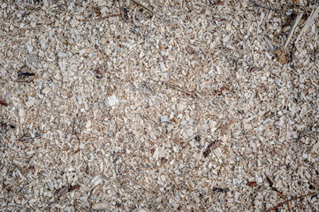 Woodchip sawdust