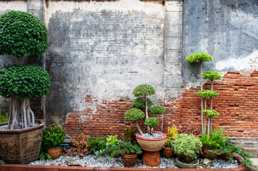 Fototapeta na wymiar Antique brick wall in the ornamental garden
