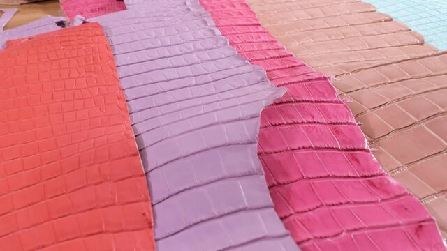 Exotic Leather. Crocodile skin. Animal Texture. Natural pattern. Fashion and clothing industry, Bags, belts and shoes, Upholstery Furniture.