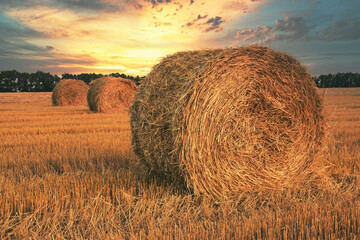 straw bales on the field on a hot summer day