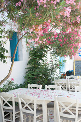 Pink flowers on white table