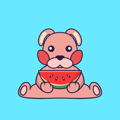 Cute rabbit eating watermelon.