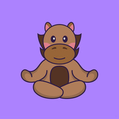 Cute horse is meditating or doing yoga.