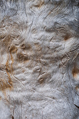 patterns of old wood