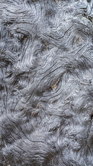 patterns of old wood