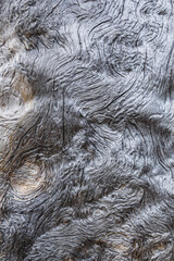 patterns of old wood