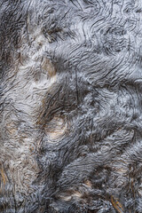 patterns of old wood