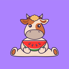 Fototapeta premium Cute cow eating watermelon.