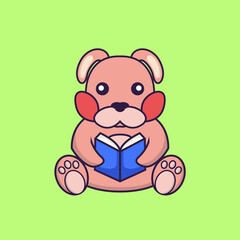 Cute rabbit reading a book.