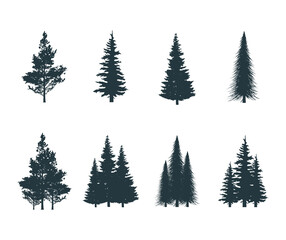 Icons set of pine, fir, aspen, elm bushes. Vector isolated coniferous forest trees silhouettes.  - obrazy, fototapety, plakaty