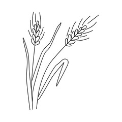Grain harvest. Ears of wheat or barley. Vector illustration for brewing, agriculture, logo, print, poster. Drawn in doodle style by outline