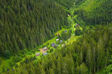 Panoramic view of green mountain hills in the summer. Green valley with high trees 