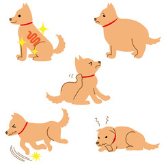 犬　健康　病気　症状　イラスト素材　セット