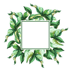 Green leaf. Frame. Watercolor (5)