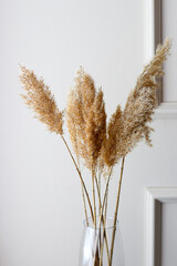 Beige reeds in vase standing on table. Minimal, styled concept for bloggers. Dry reed indoor in light pastel colors, reed layer, reed seeds
