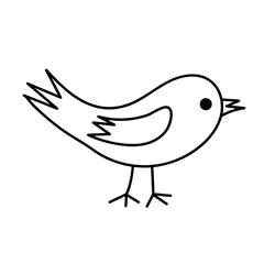 Cute hand drawn bird in doodle style. 