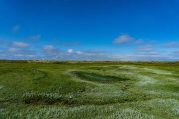 Obraz premium Wangerooge