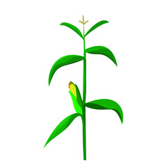 corn tree illustration with green leaves and bloom