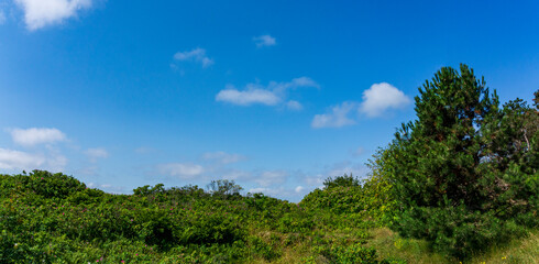 Obraz premium Wangerooge