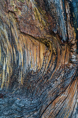 patterns and texture of old wood