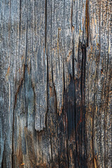 patterns and texture of old wood