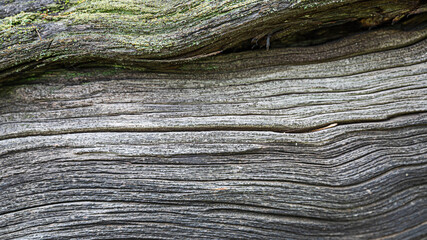 patterns and texture of old wood