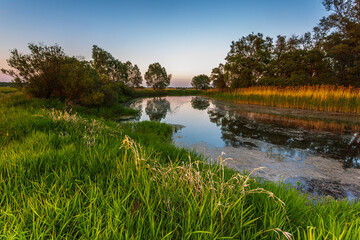 Sunset over Warta river in Warta Landscape Park, Poland. - obrazy, fototapety, plakaty