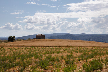 Fototapeta premium Farmhouse in the yellow field with mountain in the background, Girona, Spain