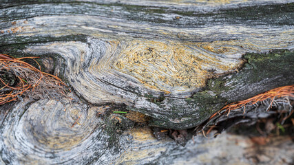 patterns and texture of old wood