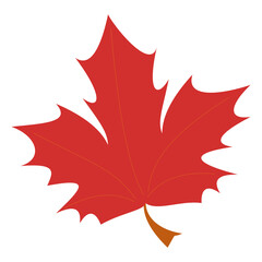 Naklejka premium Maple leaf Flat vector illustration on white background