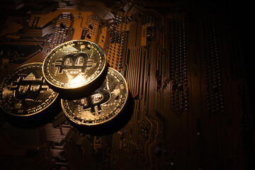 three gold bitcoin coins on the motherboard. Cryptocurrency course concept.