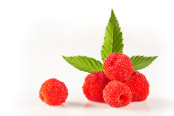 Berries Tibetan raspberry, Rbus rosiflius with leaves on white background 
