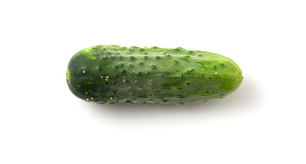 One whole cucumber isolated on white background. Fresh summer vegetable.