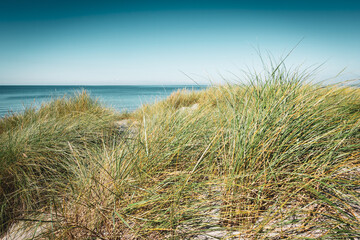 Düne am Ostsee Strand auf Fischland Darß Zingst