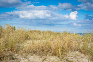 Fototapeta premium Strand Düne an der Ostsee mit Wolken Himmel