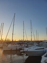 yachts in the harbor