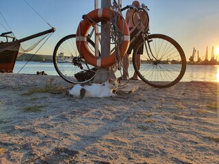 bike on the beach