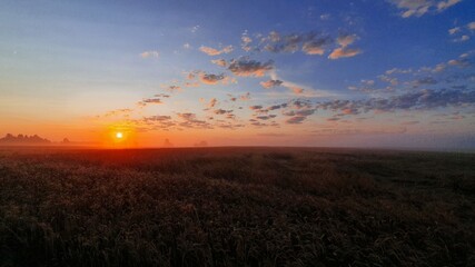 Poranek. © Cezarrriusz
