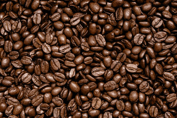 Cofee background for your designs