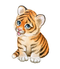 Tiger baby, tiger cub watercolor isolated on white background. Animal. Watercolor. Illustration